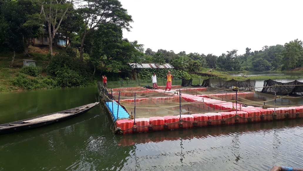 ত্রিপুরায় মাছের চাহিদার বড় যোগান ‘ডুম্বুর লেক’